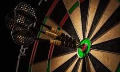 Rotary District Darts Match 7th March 2024