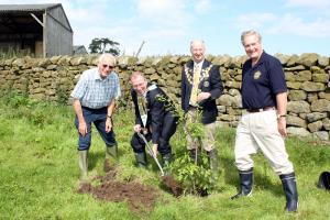 Dallowgill Tree Planting