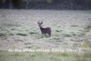 Mr. Todd's Wildlife Section.