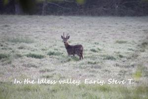 Mr. Todd's Wildlife Section. 