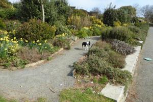 Delancey Garden Project (13 March 2016)