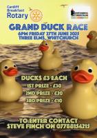 Duck Race
