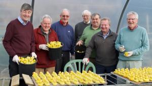 Duck Counting Team