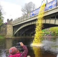 Duck Race Results - Yellow and Red -2024