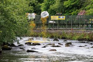 Duck Race and Fling 2025 Report
