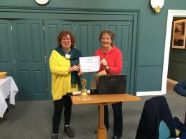 Diane Holden receives The District Governor’s Service Award