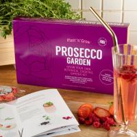 strawberries fizz plant sale