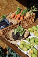 East Neuk Market Garden on 2 November