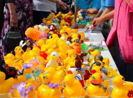 Corporate Ducks preening themselves prior to the judging.