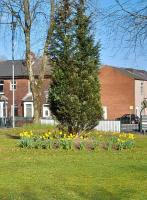 Festival Gardens