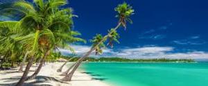 Business Meeting and talk from Rebecca Williams and her visit to Fiji
