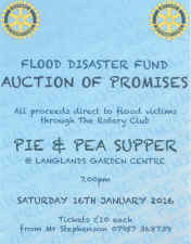 Flood Disaster Fund AUCTION OF PROMISES