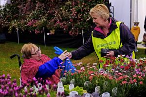 Rotarian Jan Impanni lends a helping hand