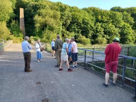 A Summer's Evening Walk