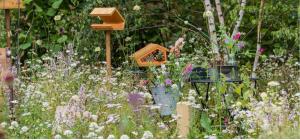 Garden and Meadow rewilding