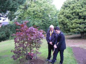 Akira plants a tree in the garden of the Glover house in Balgownie.