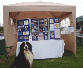 Kingsbridge Show 2015