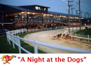A Night at the Dogs