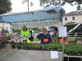 2019 HANDS Fair with plants and books for sale and a PR Stand