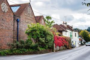 Haslemere Museum Visit Wednesday 14th August 2024