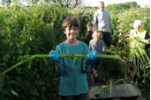 Weed Clearing
