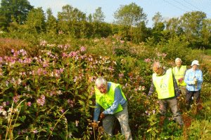 Hexham Rotary Help the Environment