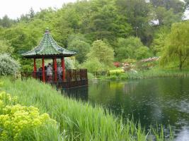 Visit to Himalayan Garden - No Meeting at the Bradford Club