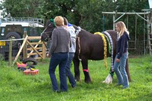 A visit to Horseshoe and Handprints followed by BBQ at Stocklinch Ales Brewery - 5 June 2014