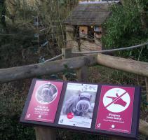 Maintenance work at Durrell Tamarin enclosure