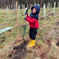 Tree Planting with Partners