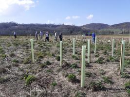Jubilee Tree Planting at Dalbeattie Learning Campus