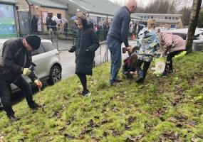 Planting Crocuses at Balmalloch Primary