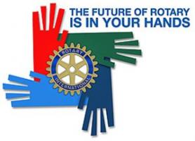 roaryinyourhands