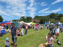 CHIDDINGFOLD FAIR 2016