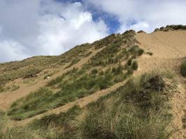 Barbers tick off Holywell to Fistral