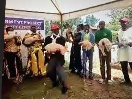 Community Economic Empowerment Piggery Project