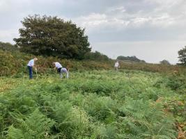 Tree Planting at Beauport