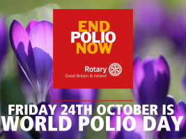 World Polio day