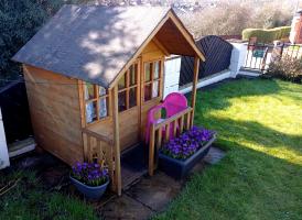 Purple crocus play house