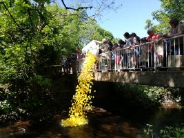 Charity Duck Race 2023
