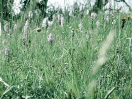 Environmental News: Monthly Newsletters for 2023