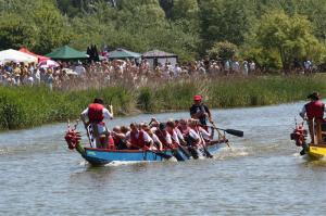 Dragon Boat Racing 2010