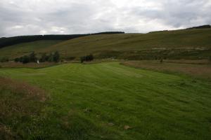 The immaculate course