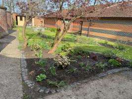 A view of the garden 