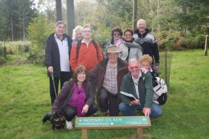 Westonbirt Walk