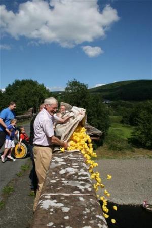 Duck Race 15th August 2010