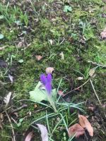 SPRING IS ON THE WAY!