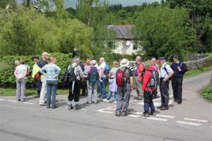 Social Walkers sniff out the BBQ