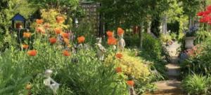 SCANNAPPEAL OPEN GARDEN VISIT