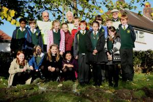 Crocus Bulb Planting - 14 November 2013